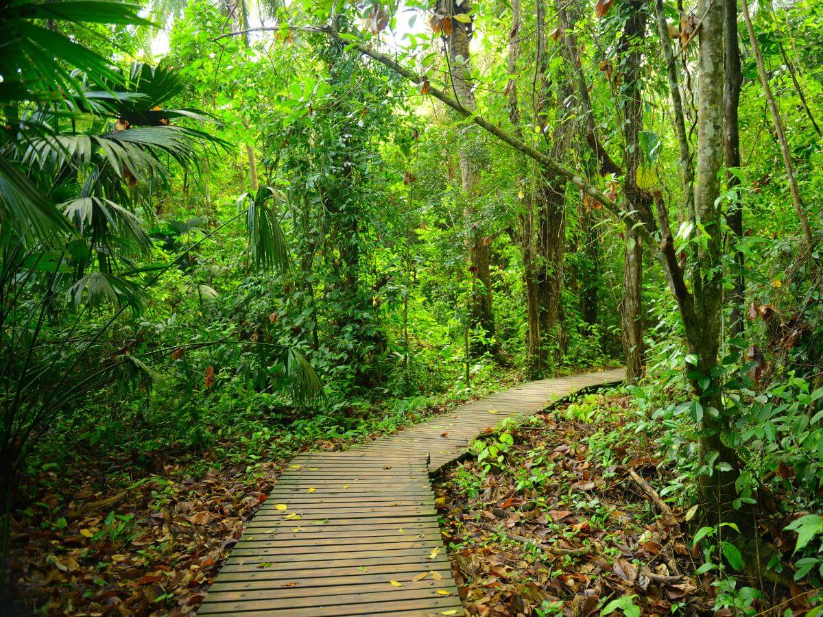 lugares para viajar en Colombia