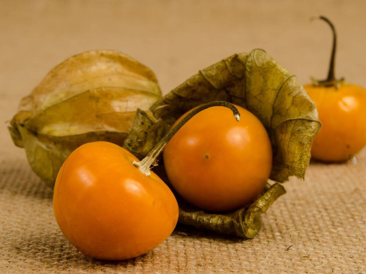  frutas exóticas colombianas