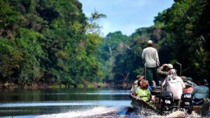 Lee más sobre el artículo Peruvian Amazon tours: what to expect from a jungle adventure
